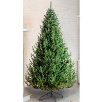 Ель GreenTerra Элоди 2.1 м