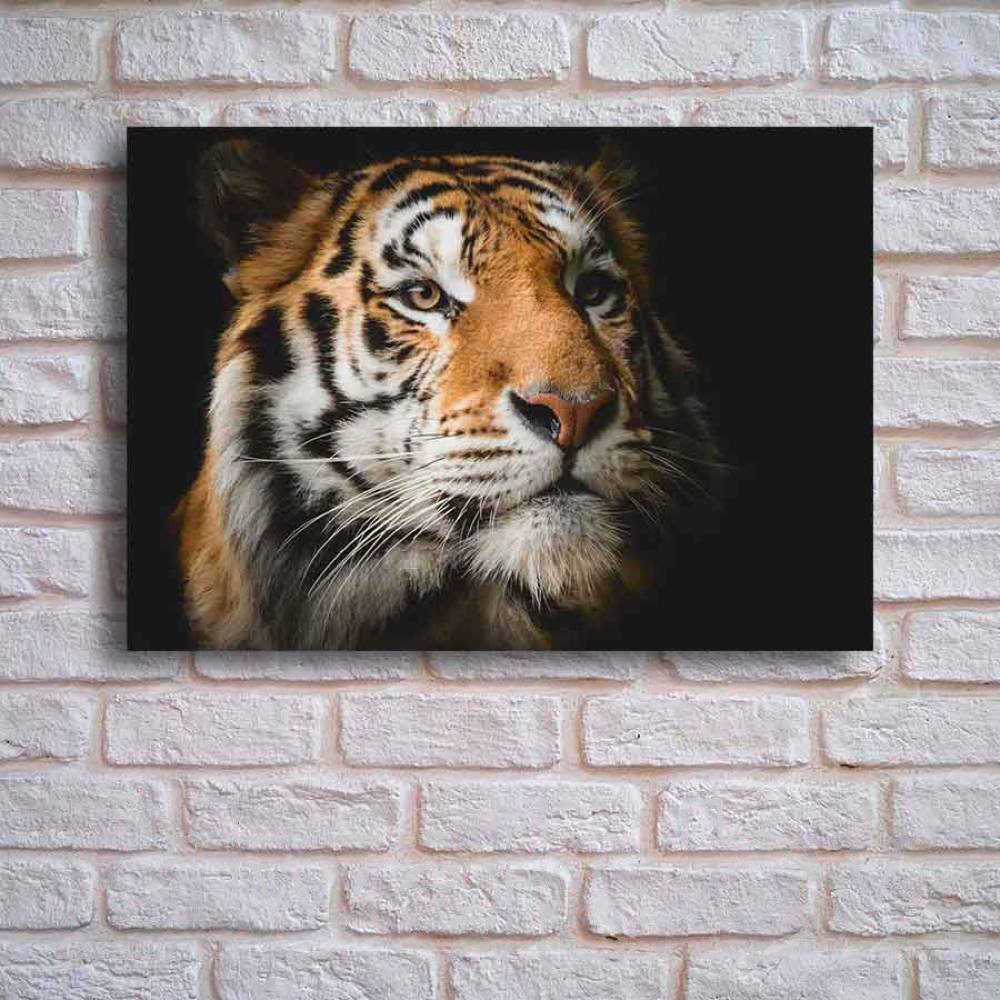 

Картина на стекле Stamprint Солнечный тигр AN010 (70x100)