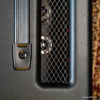 Усилитель-голова Randall RD100H