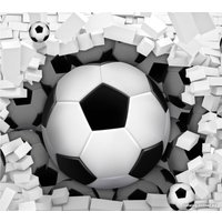 Фотообои ФабрикаФресок Футбольные мячи из стены 723270 (300x270)