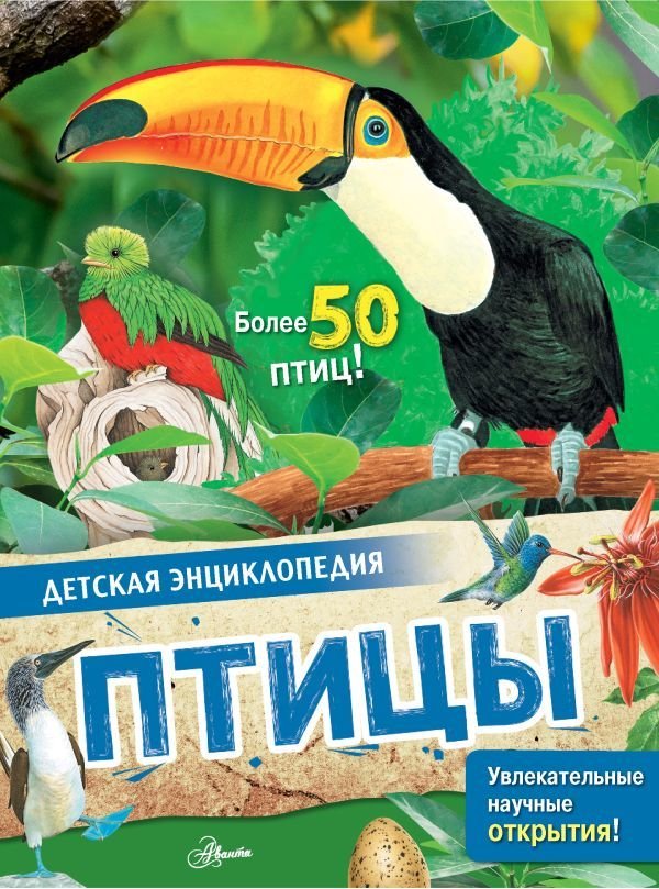 

Книга издательства АСТ. Птицы 978-5-17-146620-6 (МакРей Энн)