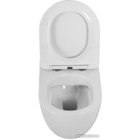 Унитаз подвесной Cezares Comfort CZR-191-TH/CZR-2316-SC в Борисове