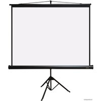 Проекционный экран PL Magna TRM-NTSC-100D