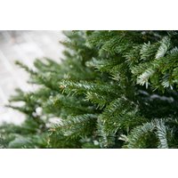 Пихта Danske Planter Нордмана Датская (0.6-0.8 м, в кадке)