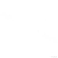 Керамогранит (плитка грес) Foir Group Danje 600x600 (матовая)