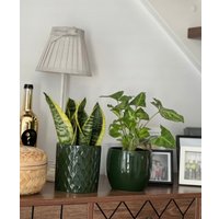 Кашпо Polnix 31.149.13 (зеленый)