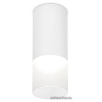 Точечный светильник Ambrella light TN230 WH/S