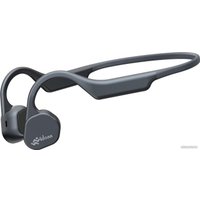 Наушники Vidonn E300 (черный)