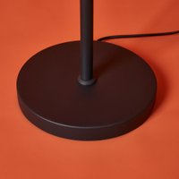 Торшер Freya Aqua FR5553FL-L20B