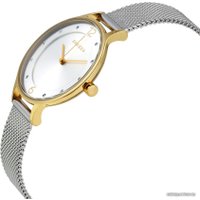 Наручные часы Skagen SKW2340