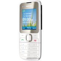 Кнопочный телефон Nokia C2-00