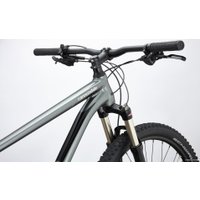 Велосипед Cannondale Trail 4 29 XXL 2020 (серый)