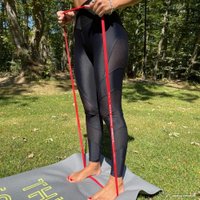 Эспандер Espado ES3101 15 кг (красный)