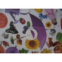 Настольная игра Granna Радуга