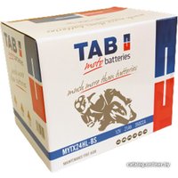 Мотоциклетный аккумулятор TAB YTX24HL-BS (21 А·ч)