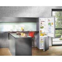 Холодильник Liebherr CNel 4813