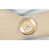 Наручные часы Skagen SKW2139