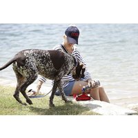 Поилка Doog дорожная BB3IN1R (красный)