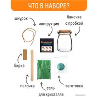 Набор для опытов Bumbaram Кристалл с пожеланием Здоровья k2