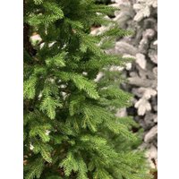 Ель Albero Di Natale Agata 3.5 м
