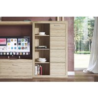 Шкаф распашной Anrex Oskar 1D (дуб санремо) в Лиде