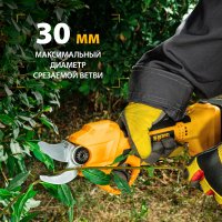 Секатор Denzel CP-30 (с 1-им АКБ)