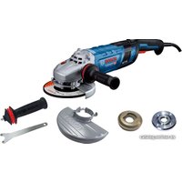 Угловая шлифмашина Bosch GWS 30-230 PB Professional 06018G1100