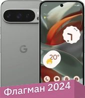 Pixel 9 Pro 16GB/512GB (лесной орех)