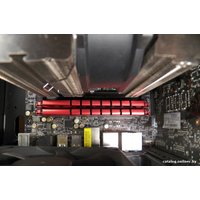 Оперативная память GeIL Evo Veloce 8GB DDR3 PC3-12800 (GEV38GB1600C11SC)