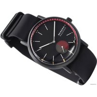 Наручные часы Skagen Signatur SKW6540