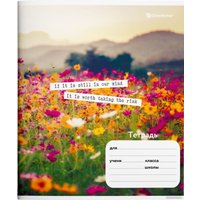 Набор тетрадей Schoolformat Микс для девочек ТШЛ24-МДД-НМП