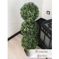 Искусственное растение Merry Bear Home Decor Самшит Шаровидный В Горшке AQ61090