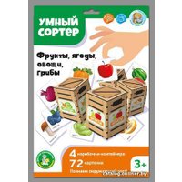 Сортер Десятое королевство Фрукты, ягоды, овощи, грибы 04718