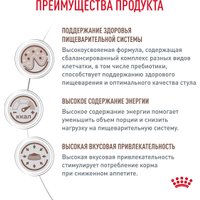 Сухой корм для собак Royal Canin Gastrointestinal 15 кг