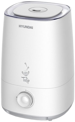 Hyundai Tulip H-HU8M-4.0-UI184