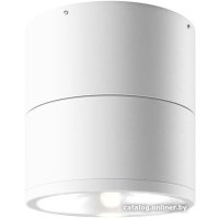 Уличный накладной светильник Maytoni Spin O310CL-L7W3K