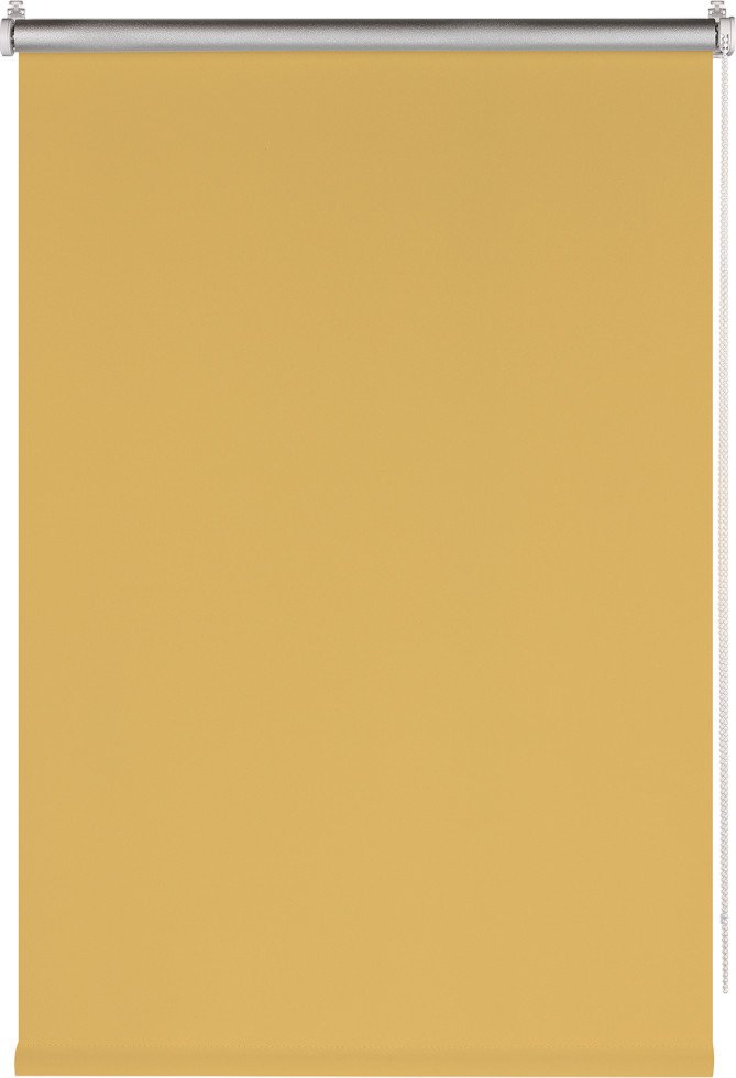 

Рулонные шторы Franc Gardiner Blackout Silver 110x160 7794991 (медовый)