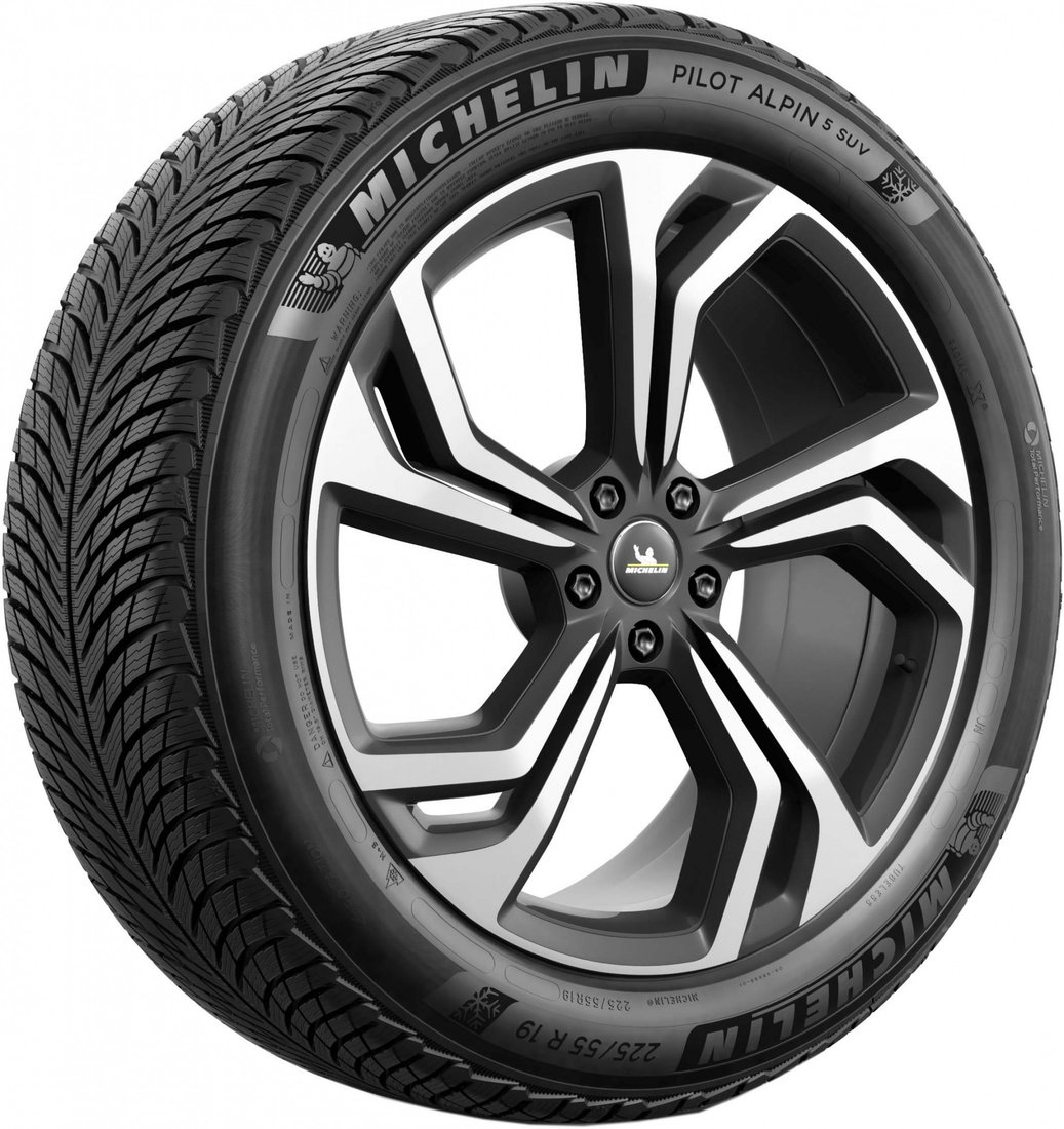 

Зимние шины Michelin Pilot Alpin 5 SUV 255/45R21 106V