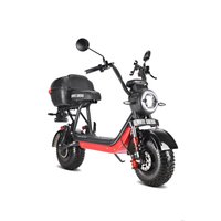 Электроскутер White Siberia Mini R 2.0 1200W (черный) в Гродно