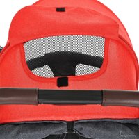 Коляска прогулочная «книга» Pituso Camino (черный/красный)