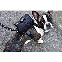 Рюкзак для животных Dogtrine DTAC-BP1001-BK-M