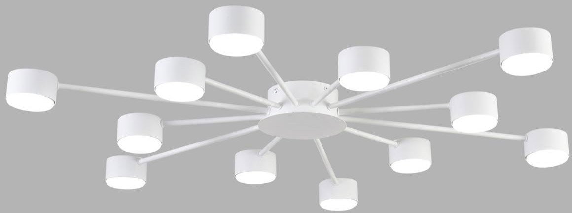 

Припотолочная люстра Lumion Torina 8343/12C