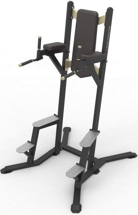 Силовая стойка LEGENDGYM VB 220-02