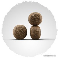 Сухой корм для собак Josera High Energy 15 кг