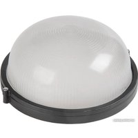 Уличный настенный светильник IEK НПП1101 LNPP0-1101-1-100-K02