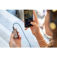Портативный усилитель iFi audio Go Blu