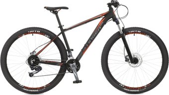 Stinger Genesis D 29 (2018)