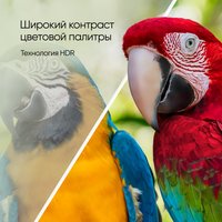 Телевизор Topdevice 55" Ultra Neo CS06