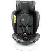 Детское автокресло Amarobaby Champion Isofix AMARO-2008CH-Gr (графит)