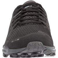 Кроссовки Inov-8 Roclite 290 (черный)